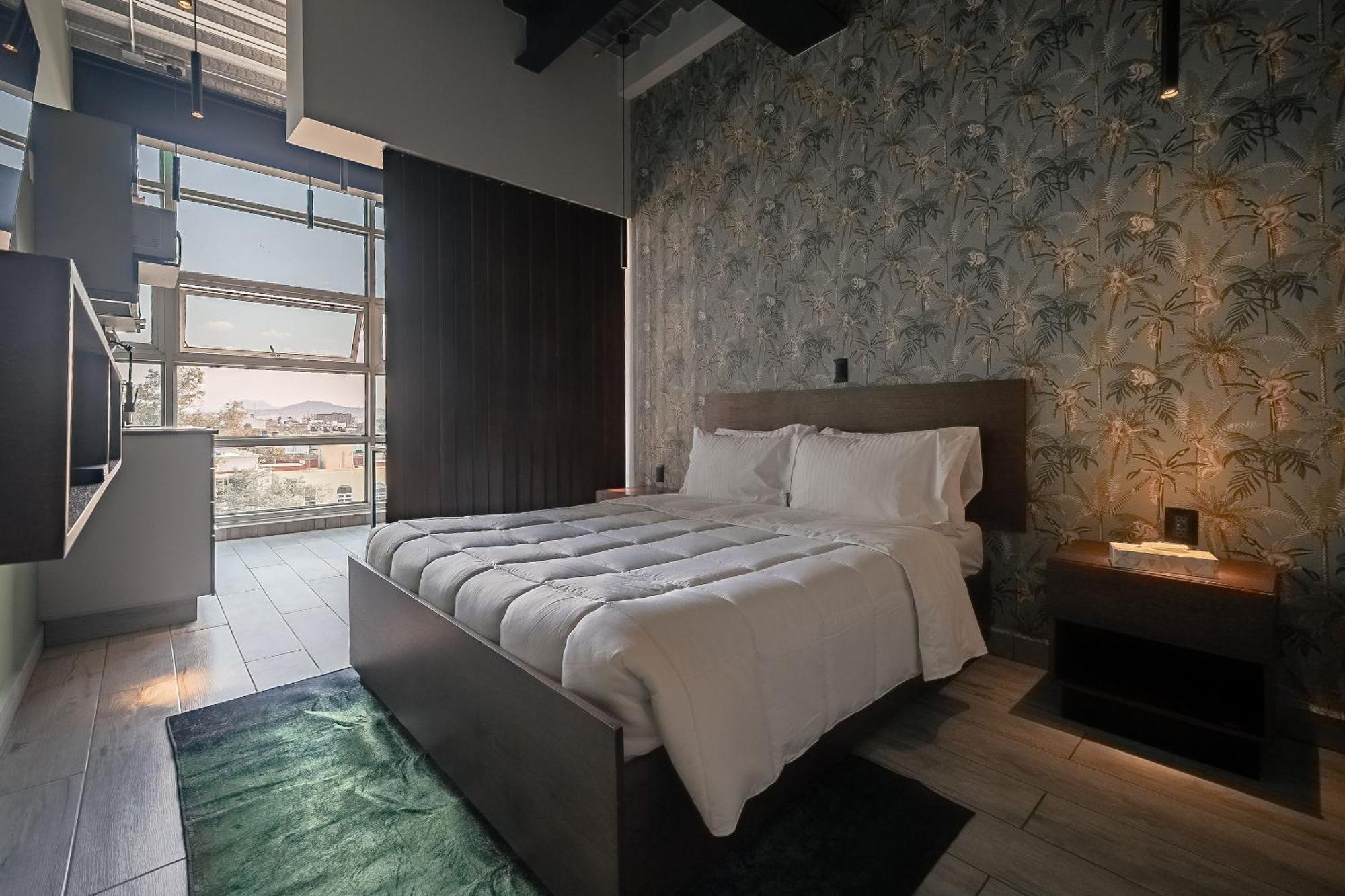 The Jungle Loft Tropical Comfort In A Centric Location With Kitchen Mexico-stad Buitenkant foto